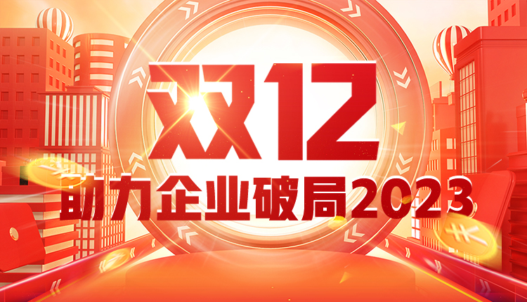 國人在線“雙十二”大促——助力企業破局2023